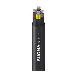 NAYY 4 Cores