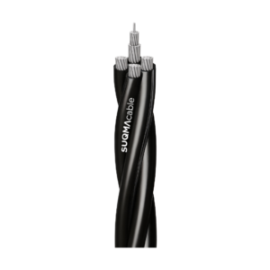 NFA2X-T